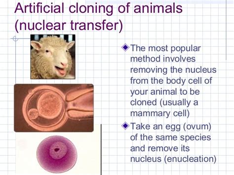 cloning results in two organisms that are|Department of Animal Science .